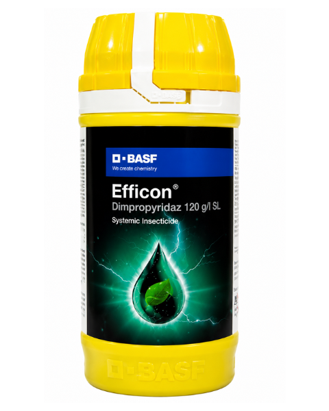 Efficon Insecticide Dimpropyridaz 120 g/L