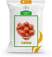 Shivam Tomato Seeds