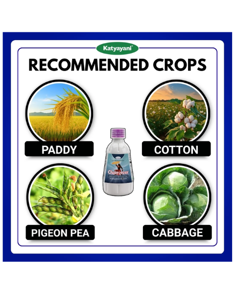 Katyayani Chakraveer Recommended Crops