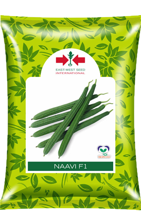 Naavi Ridge Gourd Seeds