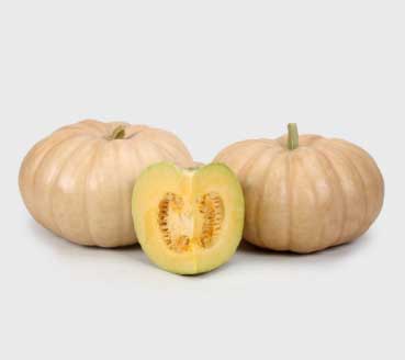 Shaheen Hybrid Pumpkin Seeds