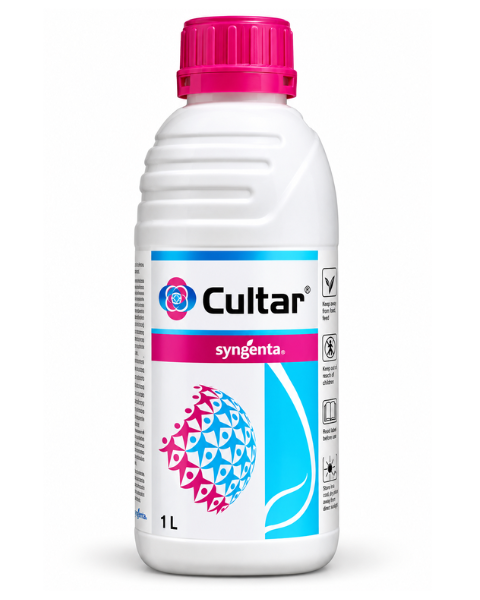 Syngenta Cultar Paclobutrazole 23% SC Plant Growth Regulator for Mango Flowering