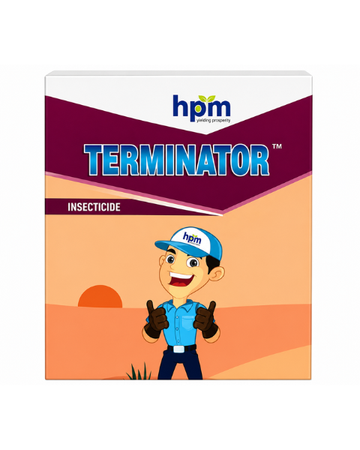 Terminator 505 Insecticide Chlorpyrifos 50% EC