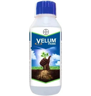 Velum Prime Nematicide Bayer Fluopyram 34.48% SC for Root Knot Nematode Control in Vegetable Crops
